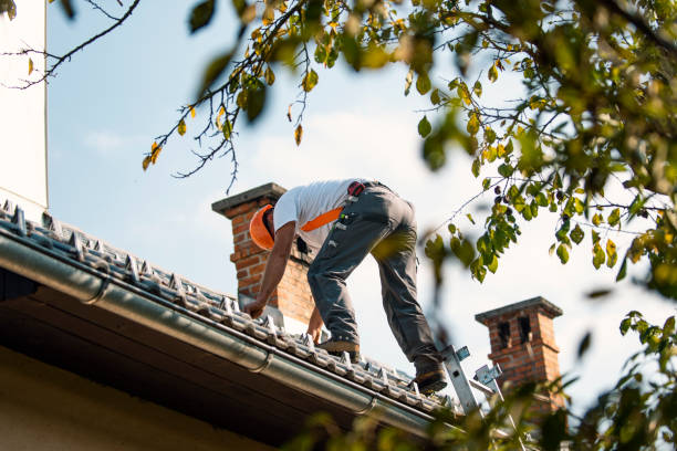 Best Metal Roofing Contractor  in Dundee, FL