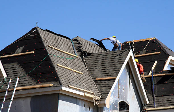 Best Roof Gutter Cleaning  in Dundee, FL