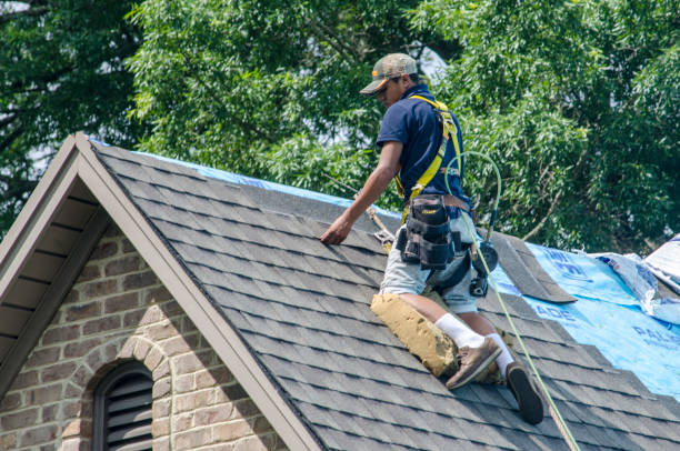 Roof Gutter Cleaning in Dundee, FL